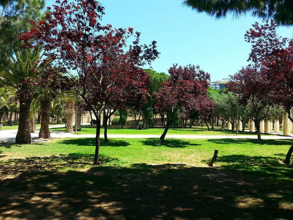 park in valencia